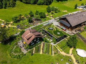 Meine Naturgestaltungen am Kräuterfestival 2025 - ein Blick zurück