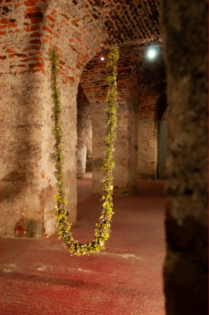 Rückblicke "ich geh schaukeln" - die Wochenkurse 2025